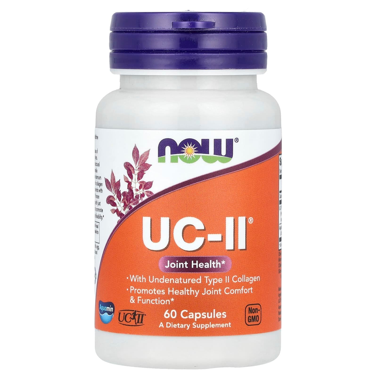 NOW Foods, UC-II®, Saúde das Articulações com Colágeno Tipo II não Desnaturado, 60 Cápsulas