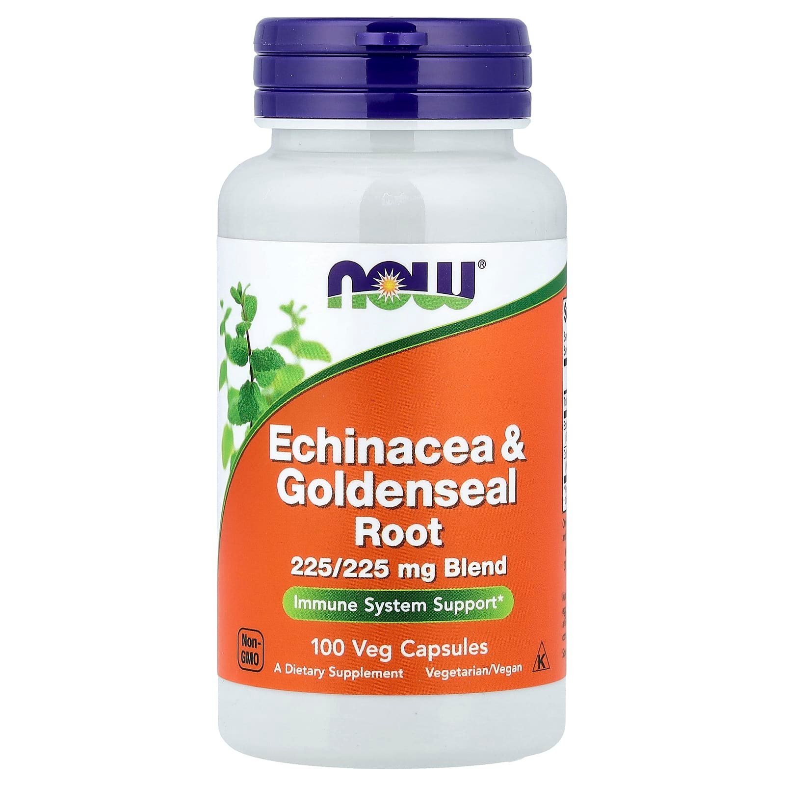 NOW Foods, Raiz de Echinacea e Hidraste, 100 Cápsulas Vegetais
